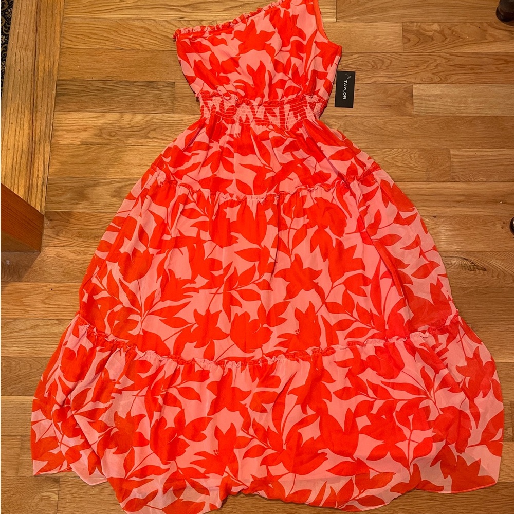 NWT Stunning Ruffled Women’s Dress